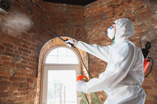 Asbestos and Lead Testing During Mold Inspection in Mattoon, IL